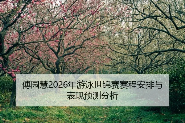 fu-yuan-hui-nian-you-yong-shi-jin-sai-sai-cheng-an-pai-yu-biao-xian-yu-ce-fen-xi-2-183.jpg