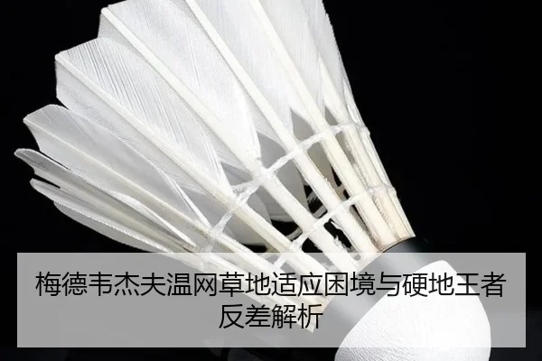 mei-de-wei-jie-fu-wen-wang-cao-di-shi-ying-kun-jing-yu-ying-di-wang-zhe-fan-cha-jie-xi-2-362.jpg