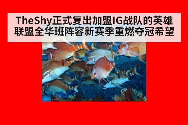 TheShy正式复出加盟IG战队的英雄联盟全华班阵容新赛季重燃夺冠希望